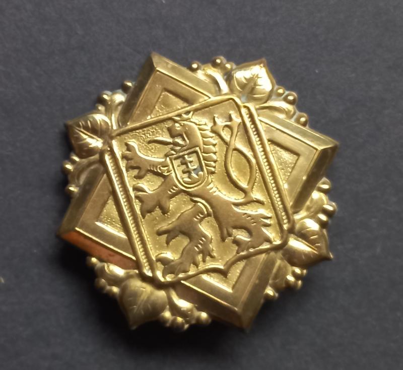 A attractive (1939-1945 period) Free Czechoslovakia Military Forces beret i.e cap badge