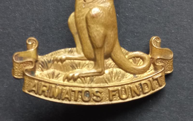 A difficult to find and sought after Canadian - so called Kangaroo - Armoured Carrier Regiment cap badge